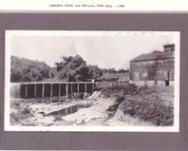 Caneadea05 Photo submitted by Dan Nicholson